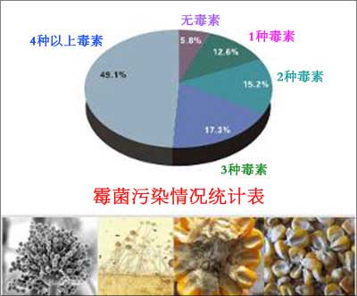 霉菌毒素